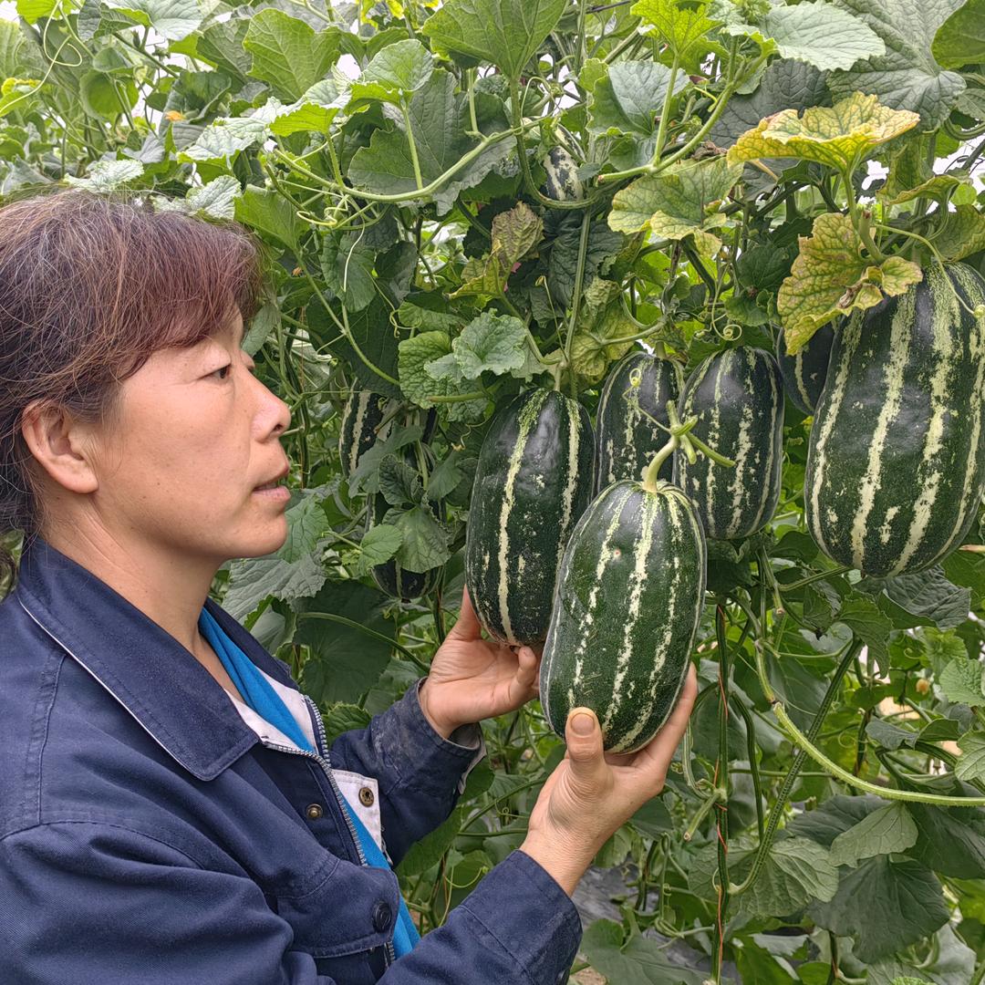 阎良博洋姐