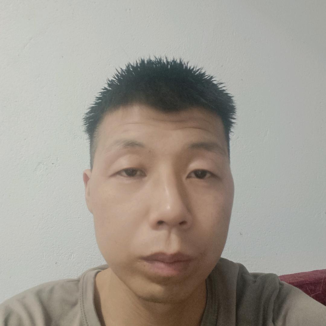 杨志玉
