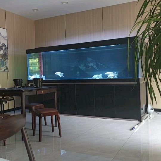 昆山精品二手鱼缸