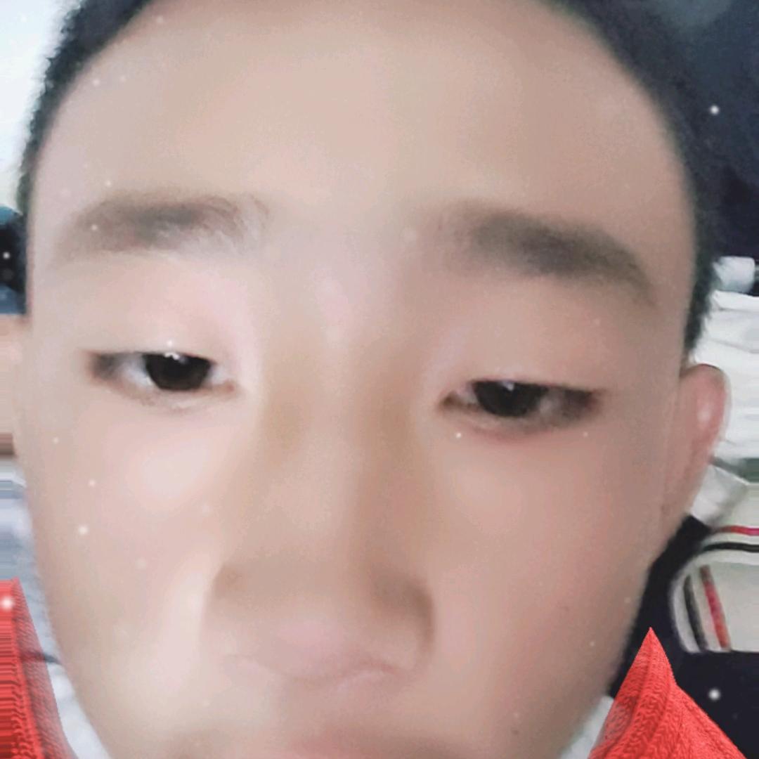 ddzjj