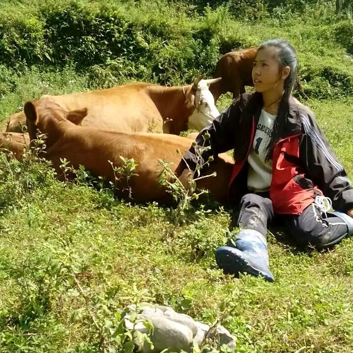 龍劍殘弑
