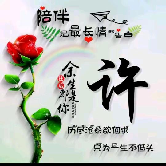 可可儿