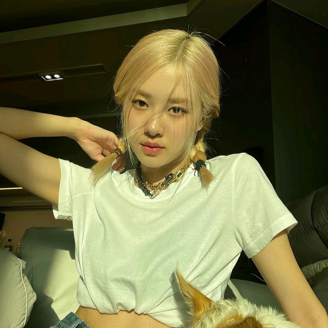 ㅤㅤㅤㅤㅤㅤㅤ ㅤㅤㅤㅤㅤㅤㅤㅤ