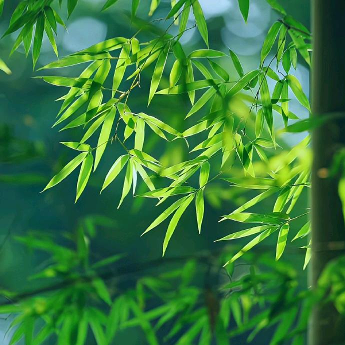 尤妮丝数码旗舰店