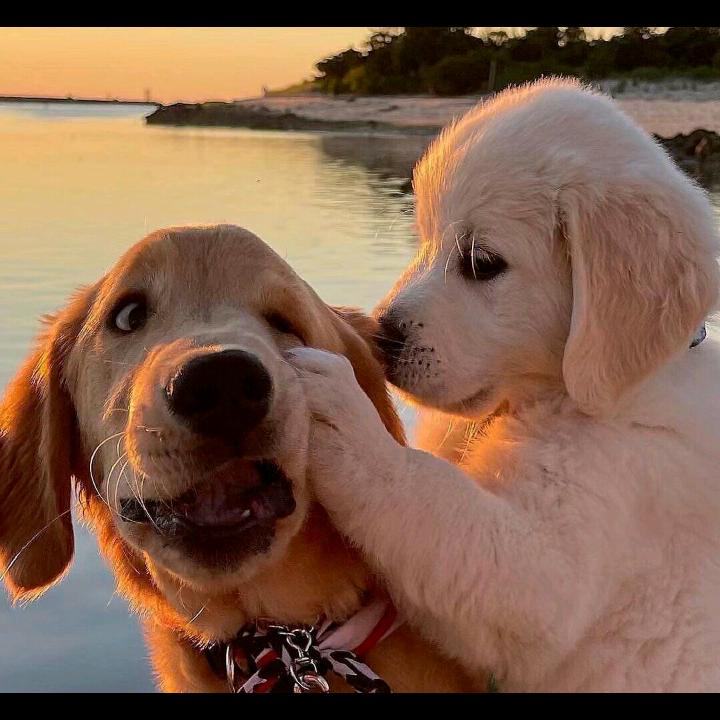 蹲着墙脚默默看着你