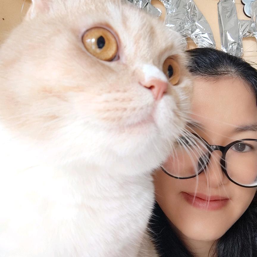 阿B不吃鱼