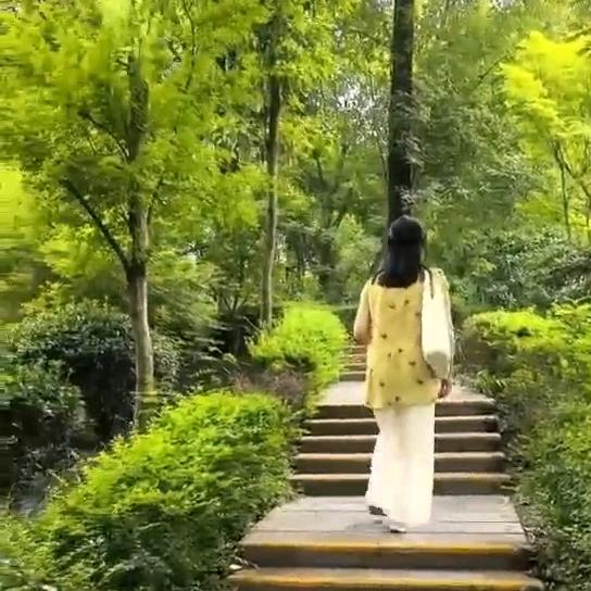 曦