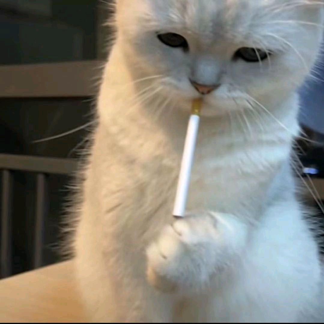 红尘路上等你