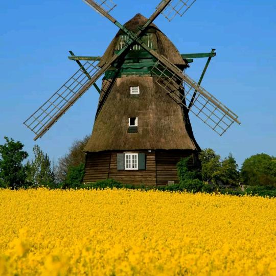 财神来了，财神来了