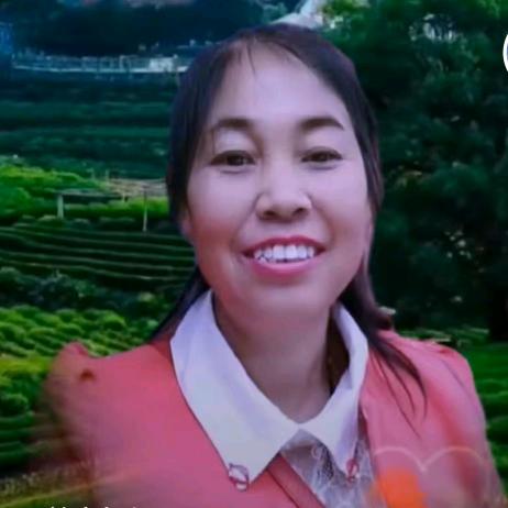 单杨姐