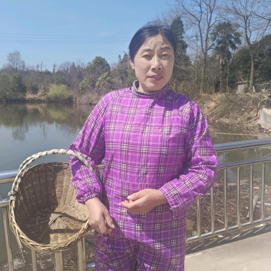 小峰妈(首播筹备中)