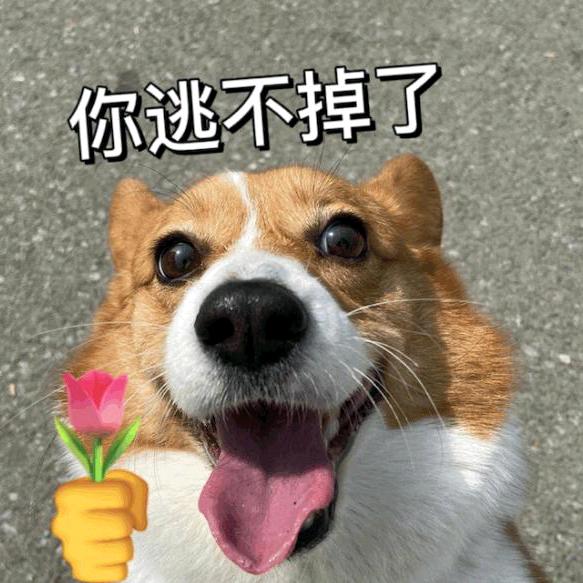 人走茶凉