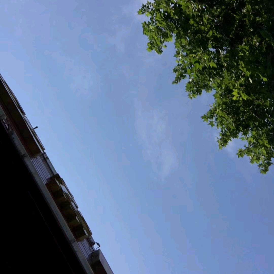 菠萝蜜