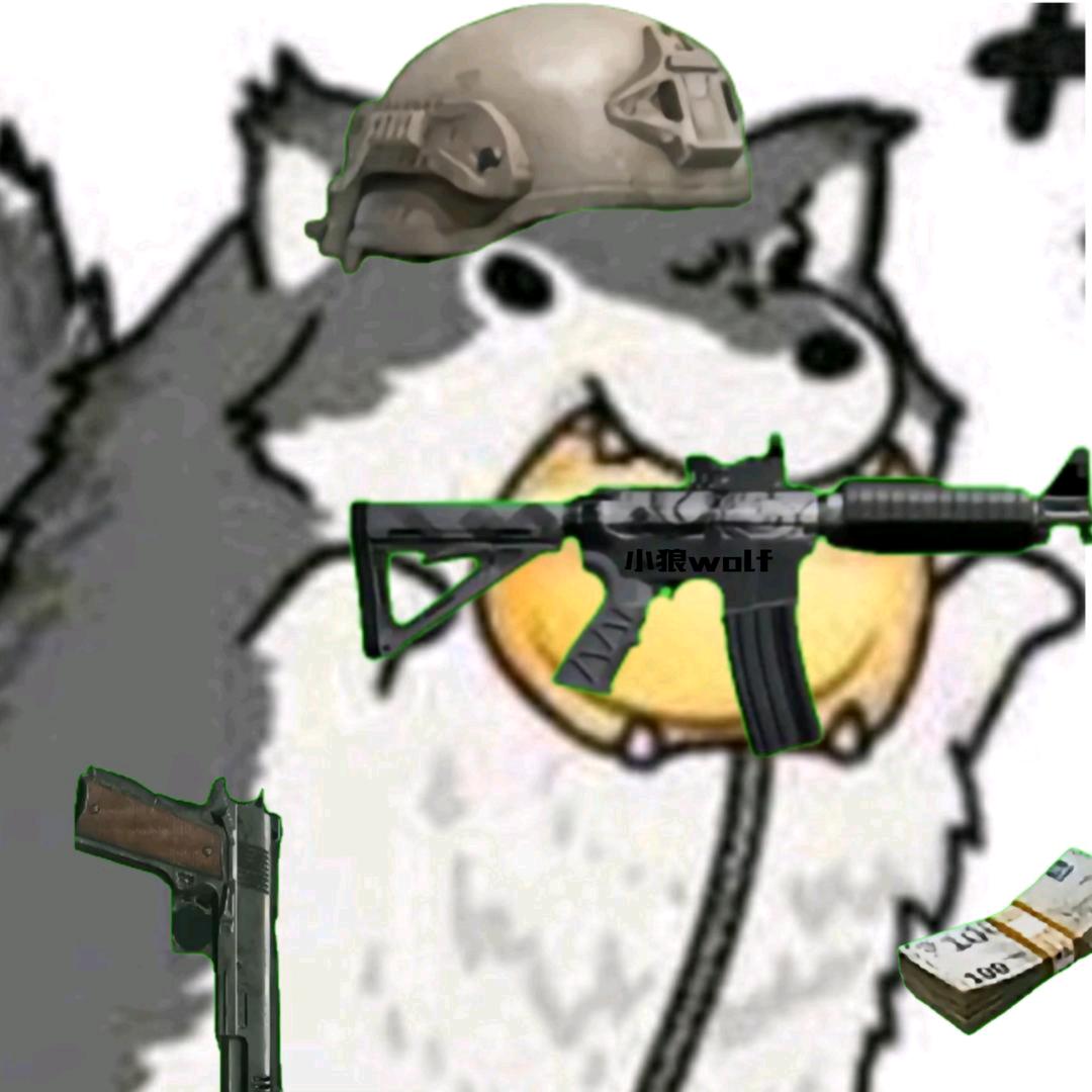 小狼wolf