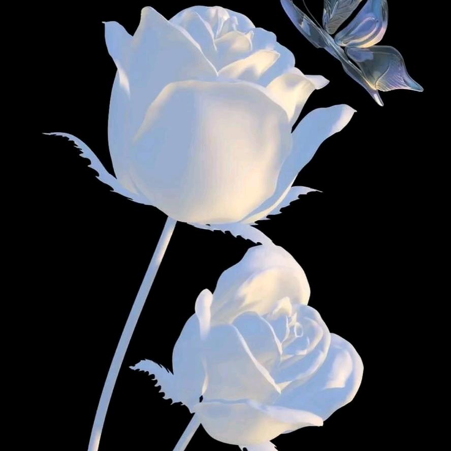 🦋.鬼👻爷.এ᭄ོ