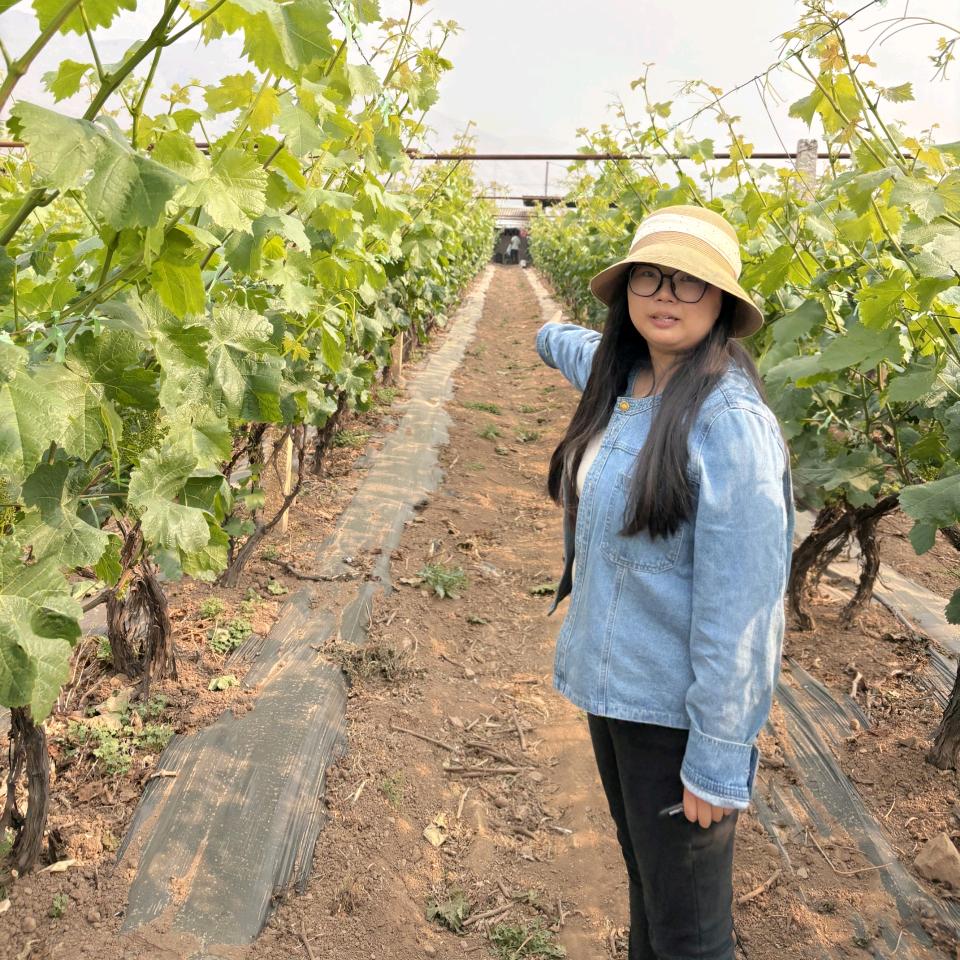 云大科技-开根生力