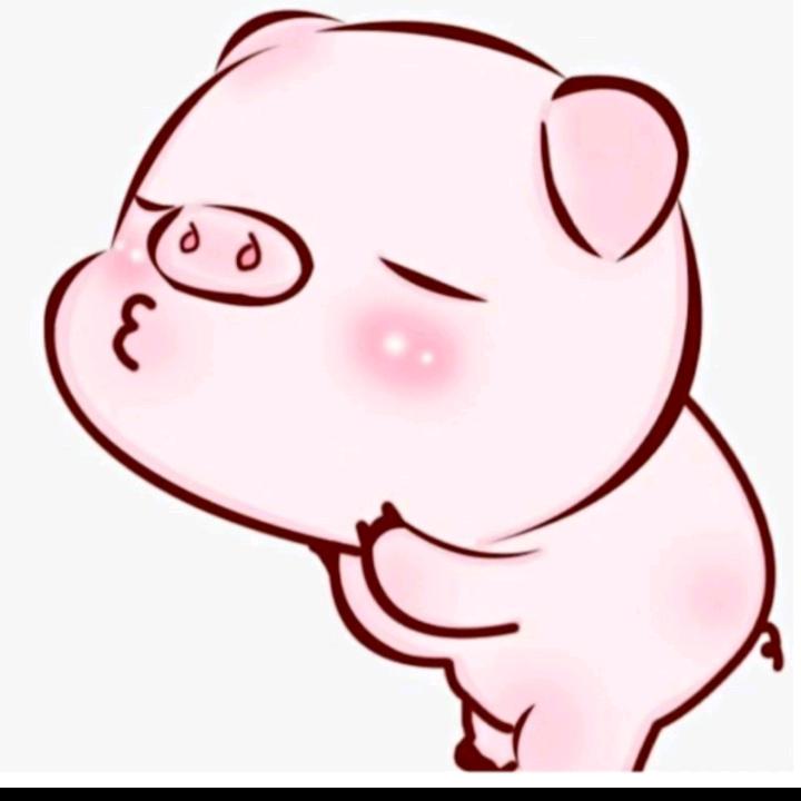 三江力驰多—小杨