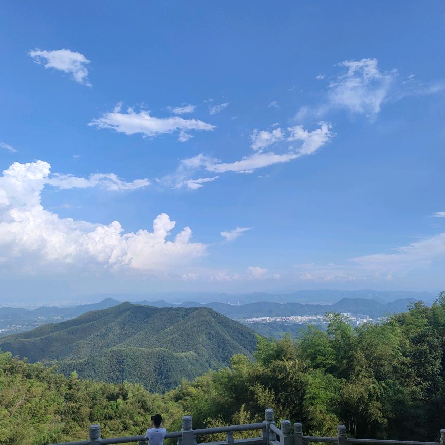 秋天不再来