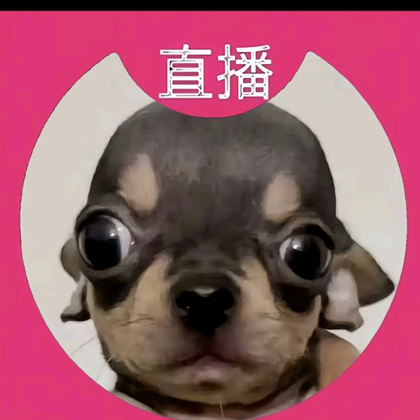 将相