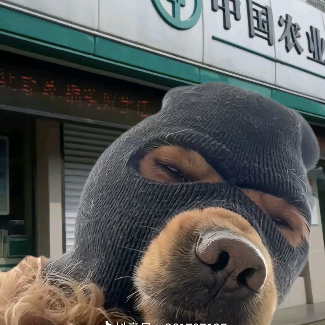 @派大星2.0版本²⁷⁷