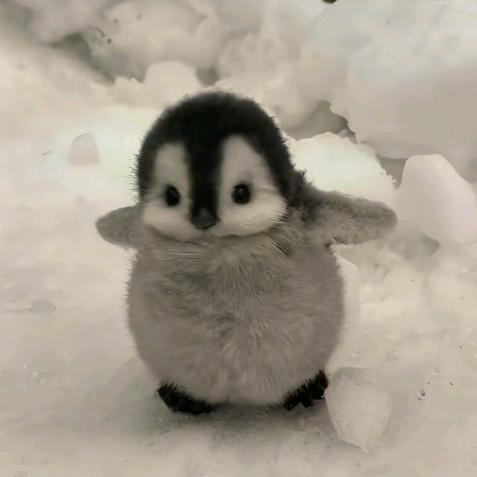 “大力”出奇迹