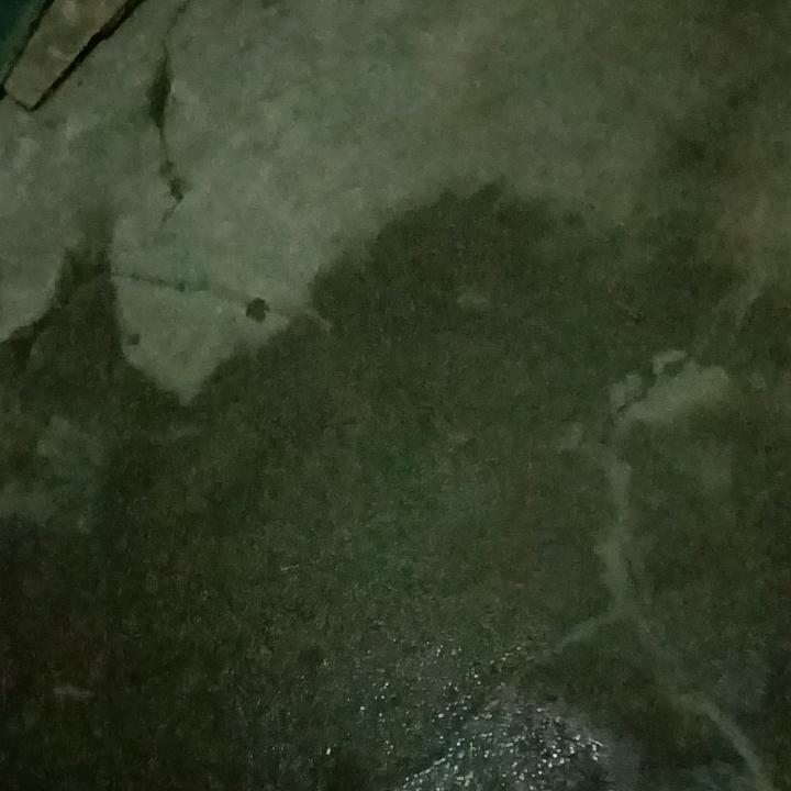 赠人玫瑰🌹手留余香