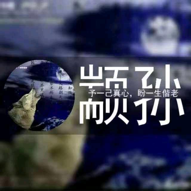 a孤狼