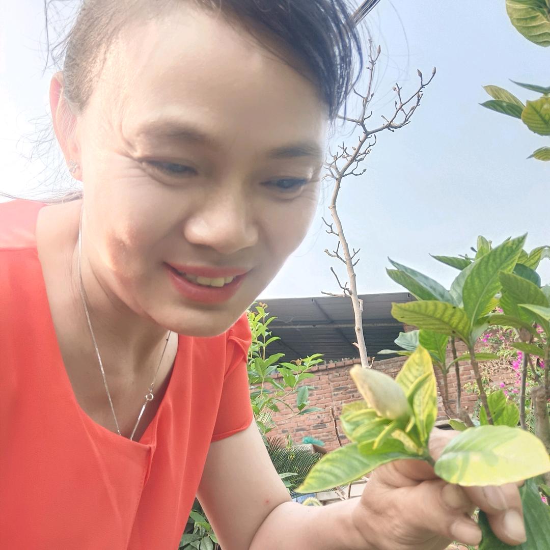 邹三姐