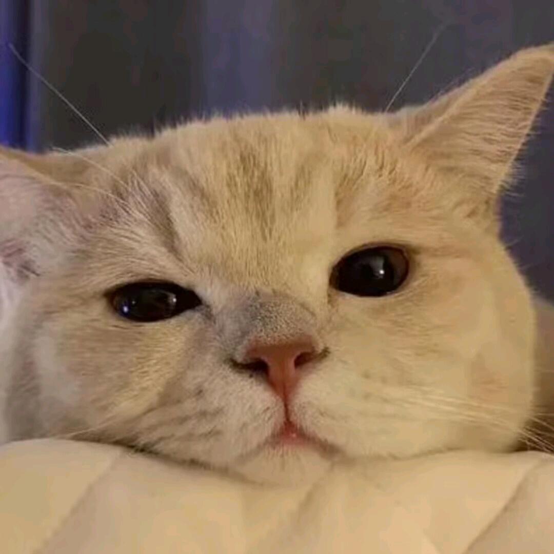 手镯（手游180保2200w)