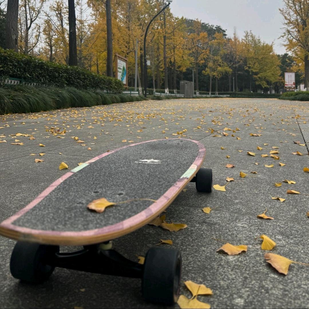 九公主🧣• ·̫ •🧣