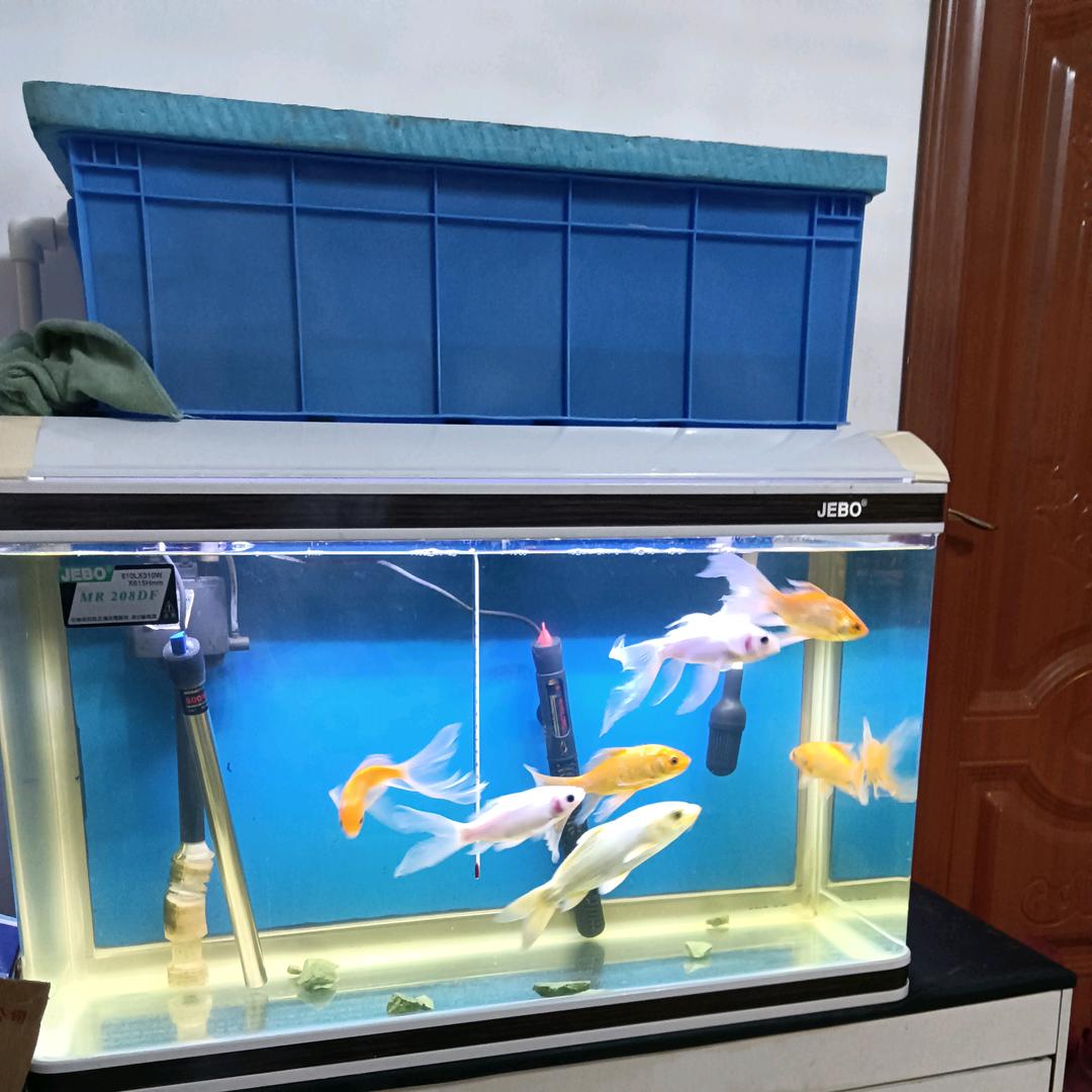 壹龍腾空掌天下
