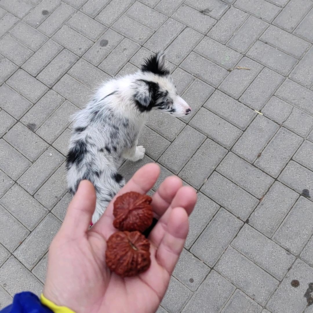 o▬▬l▅▅▅▅▅▅▆▆▇◤