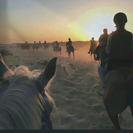 时来ઈོ运转࿐