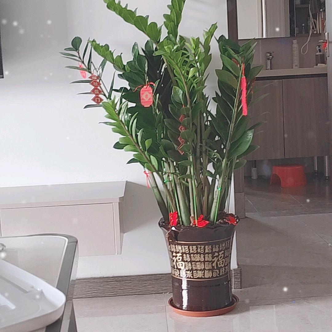 璟承海丽老师