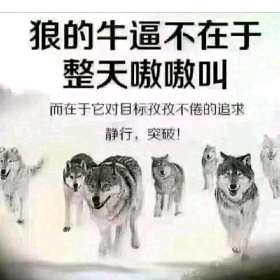 冰山上的来客