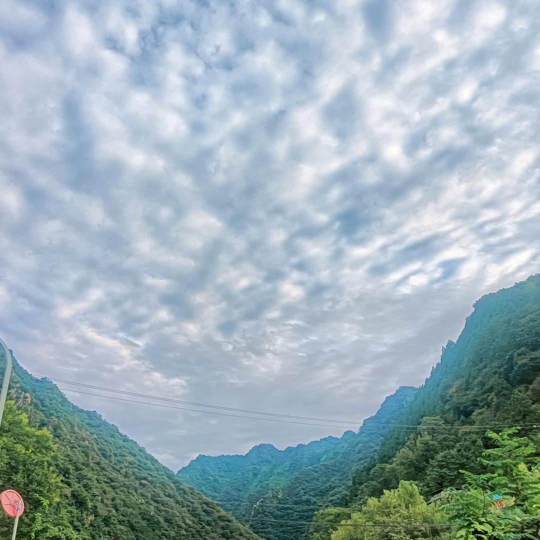 离离原上草5