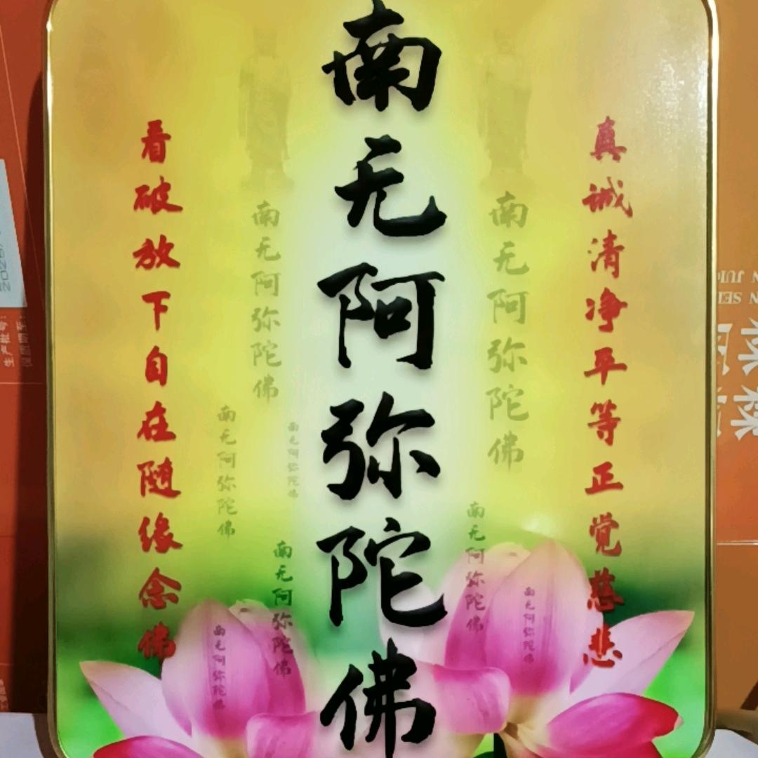 随缘心——净土愿