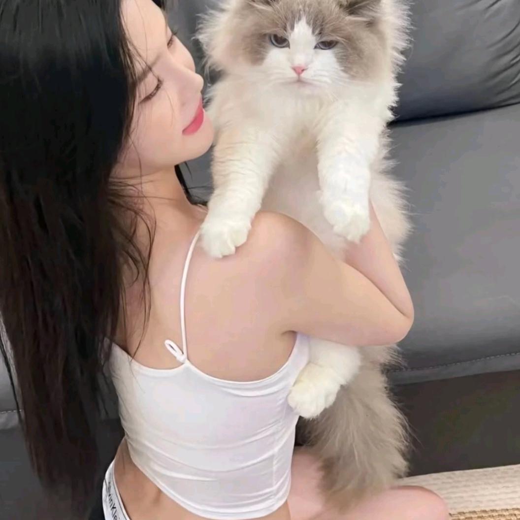 摇一遥🧚‍♀️