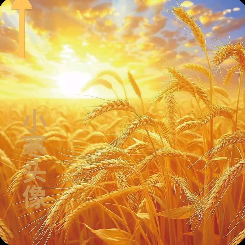 时来运转🐂越来越好