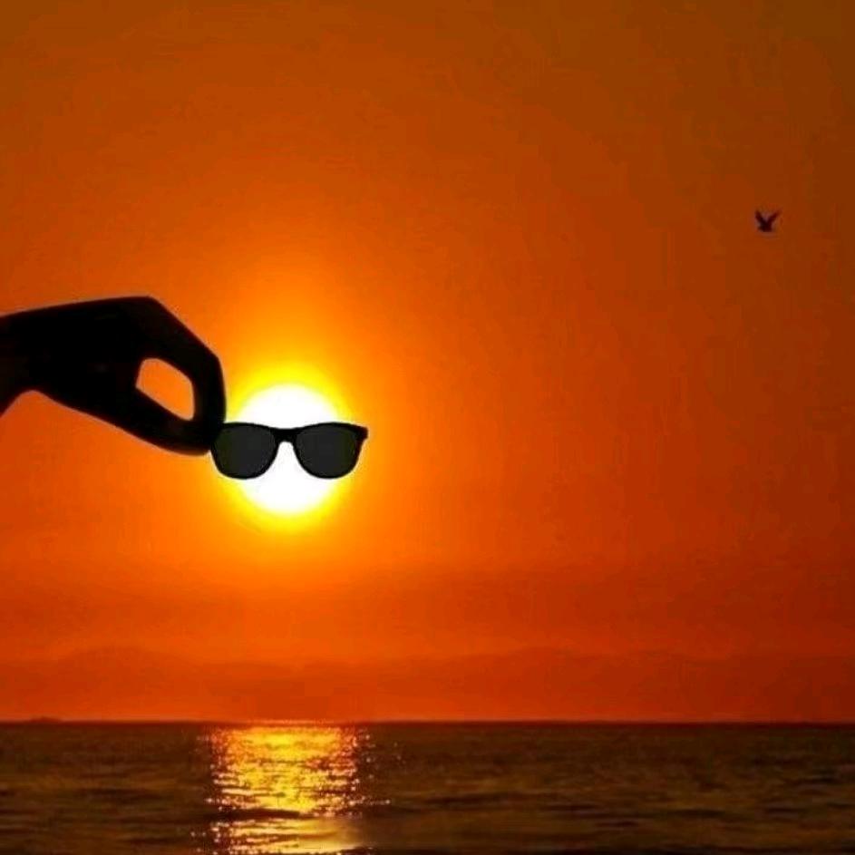 😎陈三顺