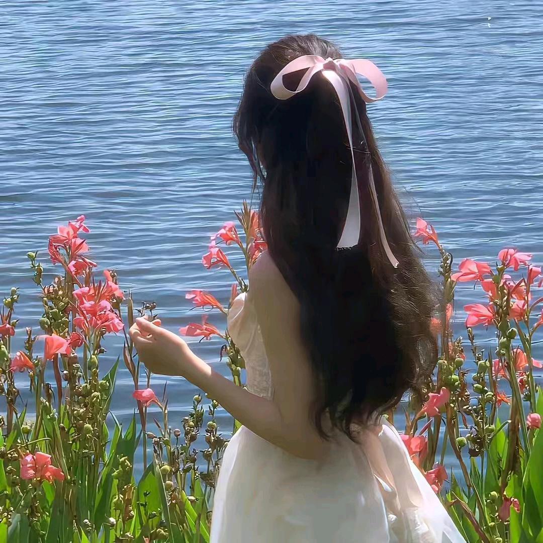 樱花雨梦
