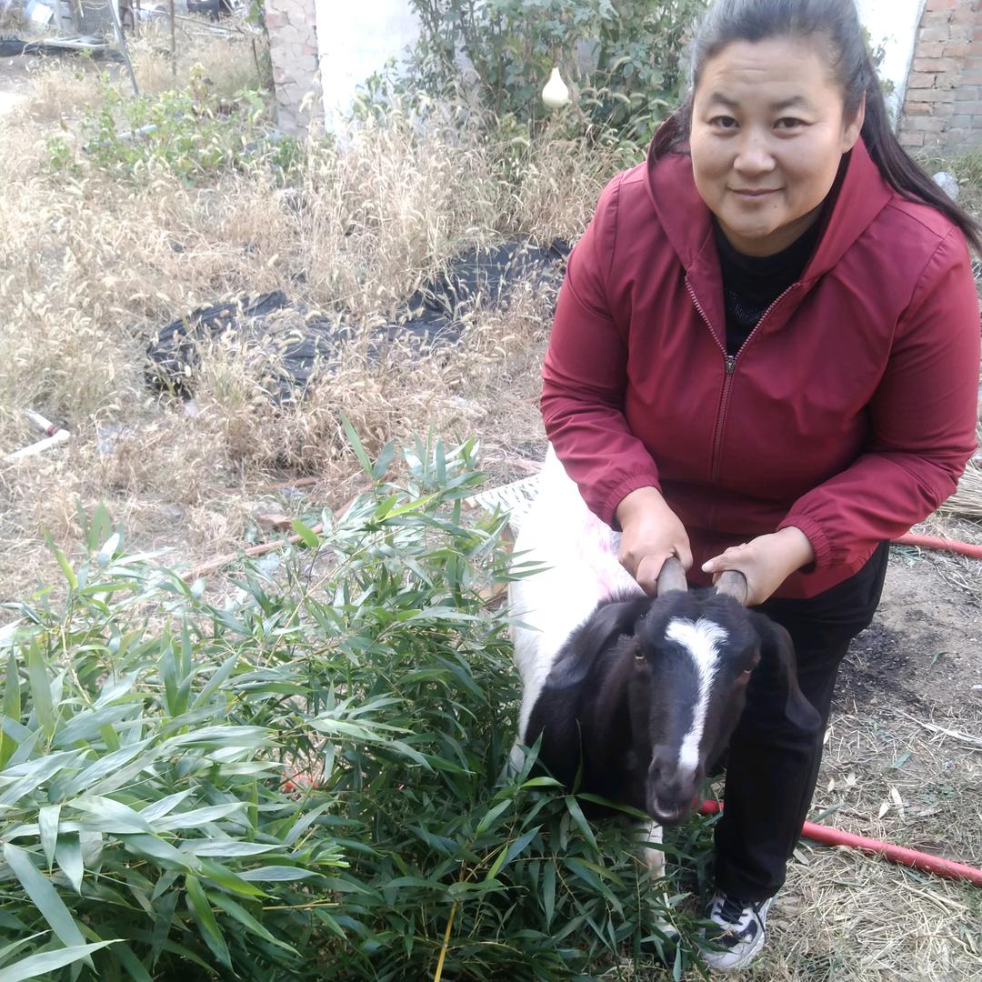 桓台县李姐全羊馆（个体工商户）