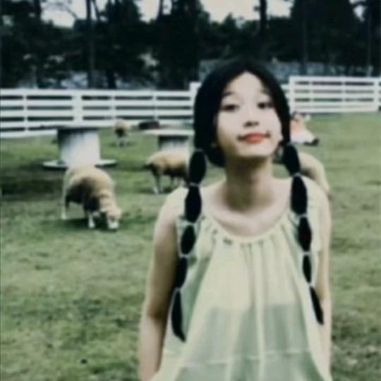 鲨鱼and傻鱼