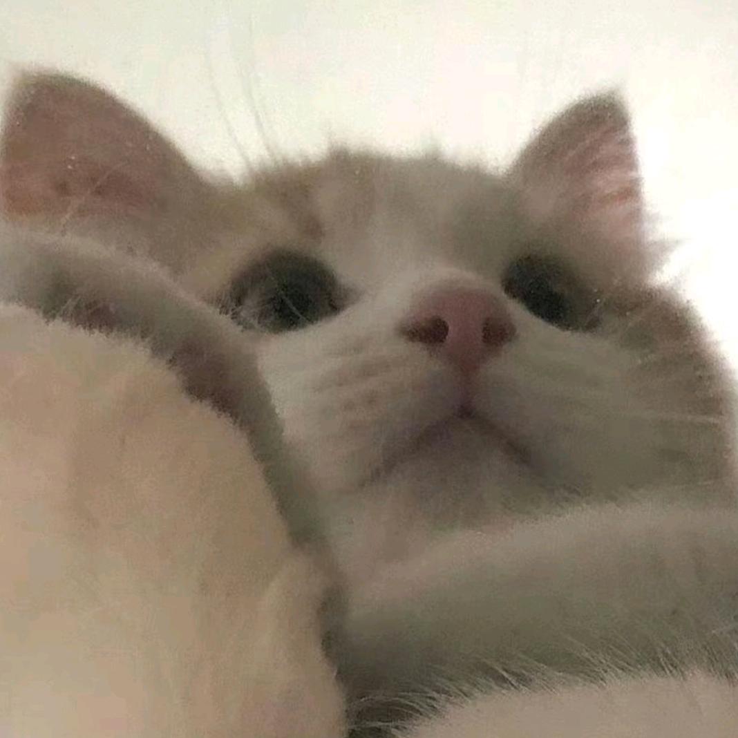西᳐米᳐੭ﾞ