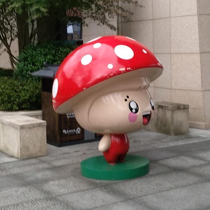 蘑菇短剧