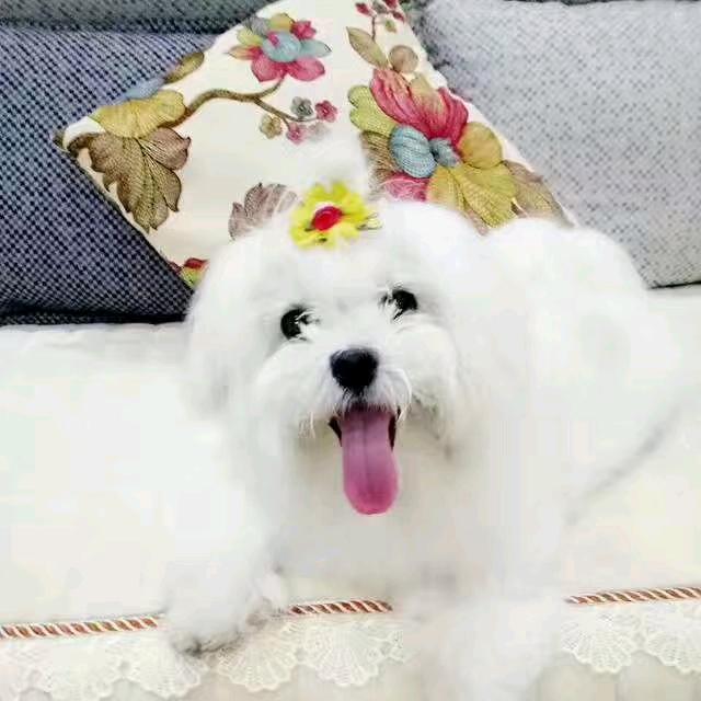 1号送货