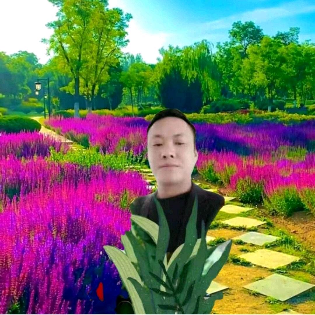 遵义开心歌
