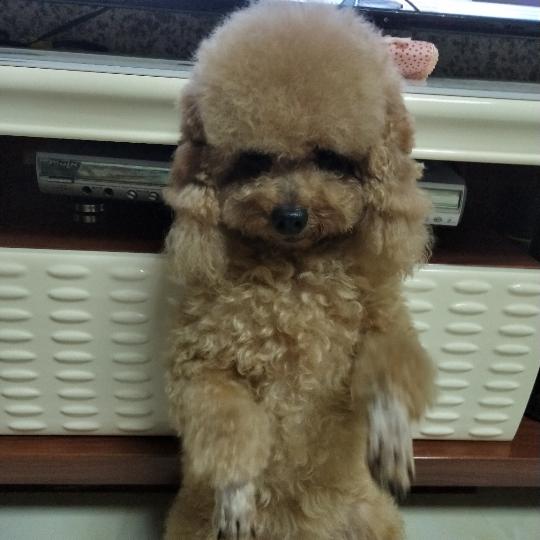 萍水相逢