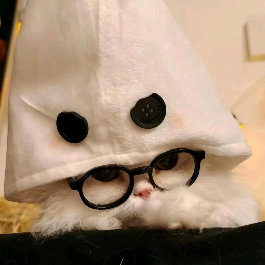 小宋