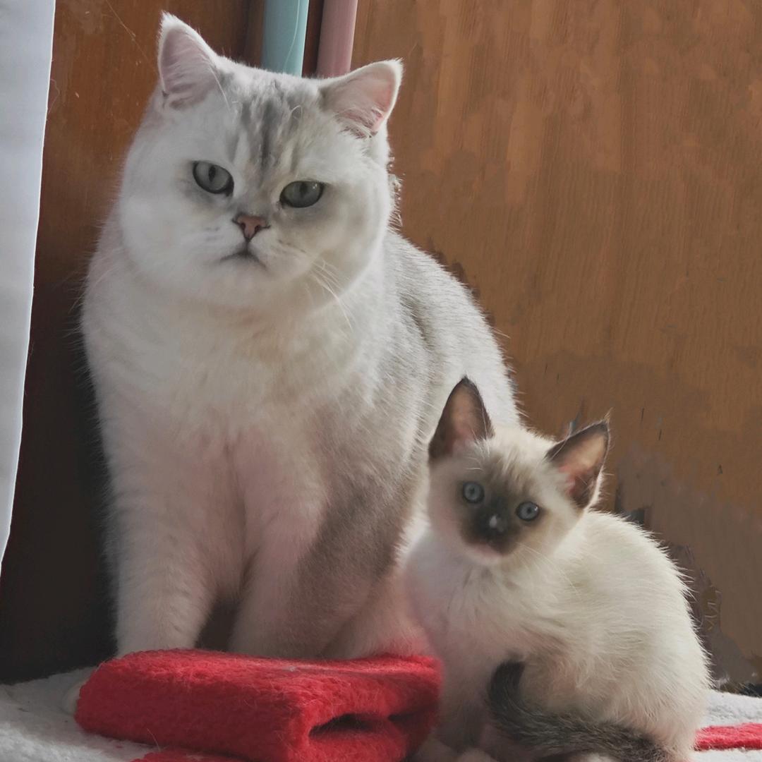 娣娣大福大贵Money多🥕